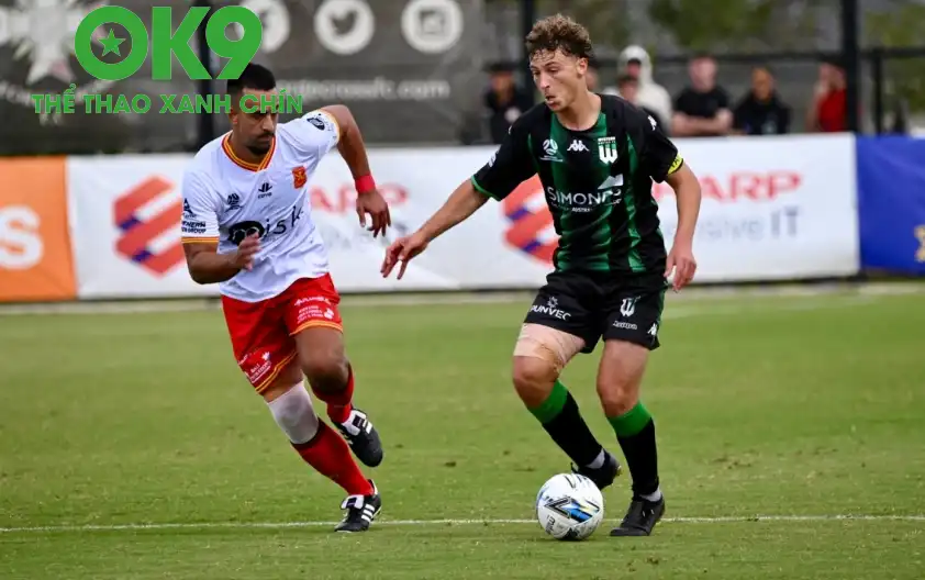 Preston Lions sẽ phải tiếp đón một Port Melbourne Sharks đang rất khát điểm ở cuối BXH Preston Lions sẽ phải tiếp đón một Port Melbourne Sharks đang rất khát điểm ở cuối BXH